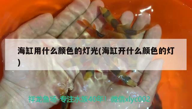 海缸用什么顏色的燈光(海缸開什么顏色的燈)