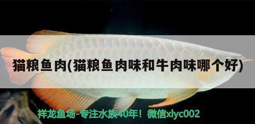 貓糧魚肉(貓糧魚肉味和牛肉味哪個(gè)好) 金龍魚糧