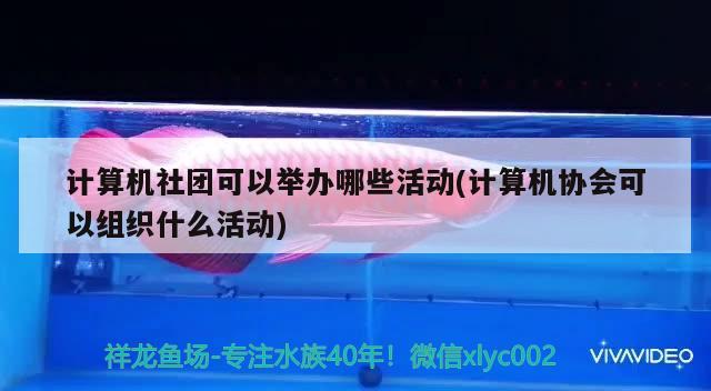 計算機社團可以舉辦哪些活動(計算機協(xié)會可以組織什么活動)