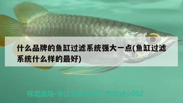 什么品牌的魚缸過濾系統(tǒng)強大一點(魚缸過濾系統(tǒng)什么樣的最好) 黃鰭鯧魚 第2張