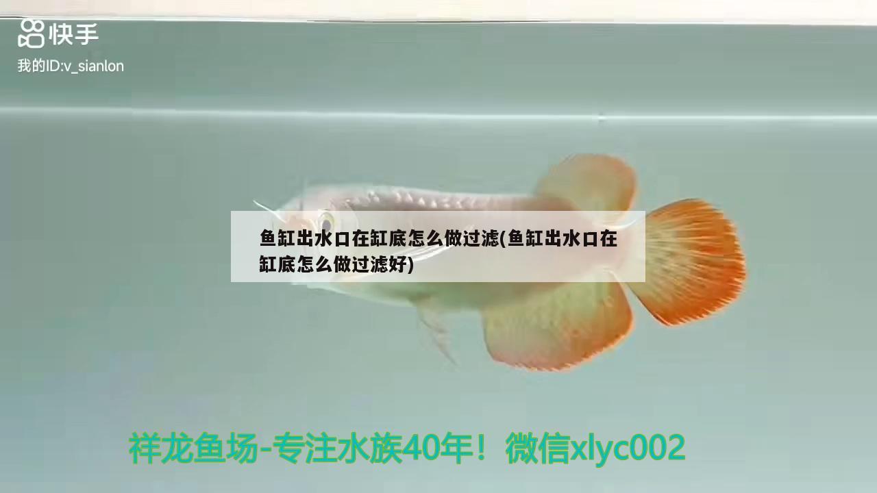 魚缸出水口在缸底怎么做過濾(魚缸出水口在缸底怎么做過濾好) 熊貓異形魚L46