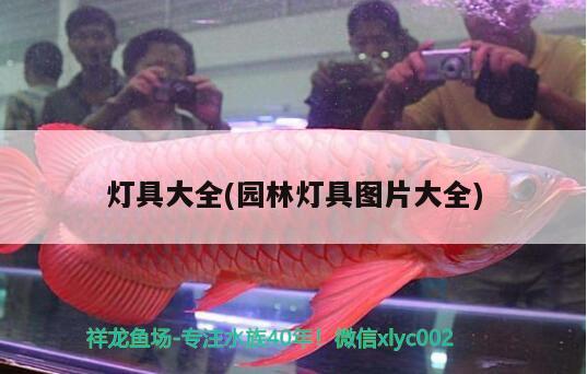 燈具大全(園林燈具圖片大全) 斑馬狗頭魚(yú)