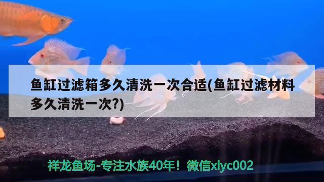 魚缸過濾箱多久清洗一次合適(魚缸過濾材料多久清洗一次？) 雙線側魚