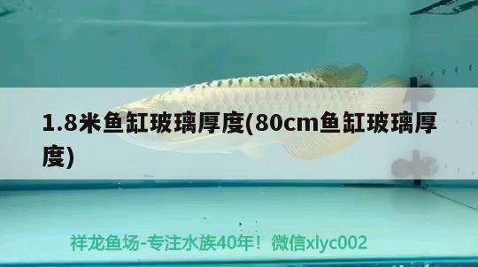 1.8米魚缸玻璃厚度(80cm魚缸玻璃厚度) 殺菌消毒設(shè)備