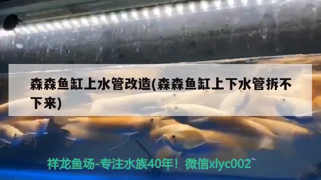 森森魚缸上水管改造(森森魚缸上下水管拆不下來) 定時器/自控系統(tǒng)