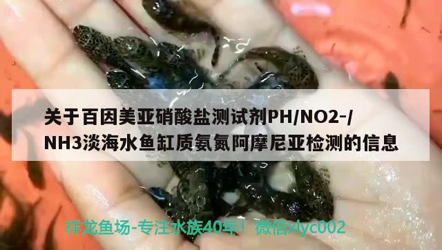 關(guān)于百因美亞硝酸鹽測試劑PHNO2-NH3淡海水魚缸質(zhì)氨氮阿摩尼亞檢測的信息