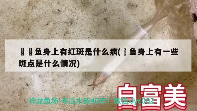 鳑鲏魚身上有紅斑是什么病(鮰魚身上有一些斑點是什么情況)