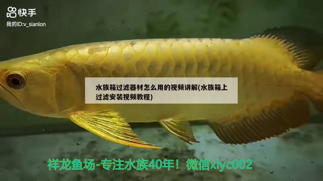 水族箱過濾器材怎么用的視頻講解(水族箱上過濾安裝視頻教程) 魚缸/水族箱