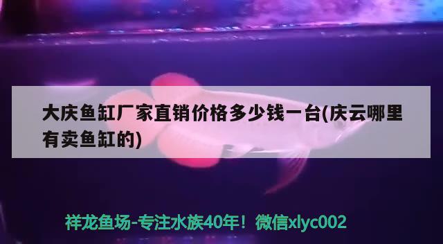 大慶魚缸廠家直銷價格多少錢一臺(慶云哪里有賣魚缸的) 潛水泵