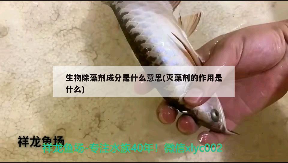 生物除藻劑成分是什么意思(滅藻劑的作用是什么) 除藻劑