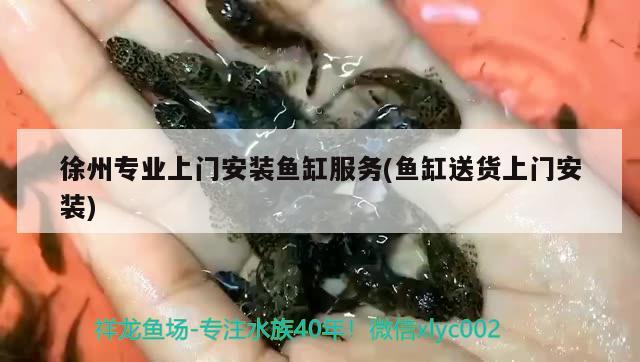 徐州專業(yè)上門安裝魚缸服務(魚缸送貨上門安裝)