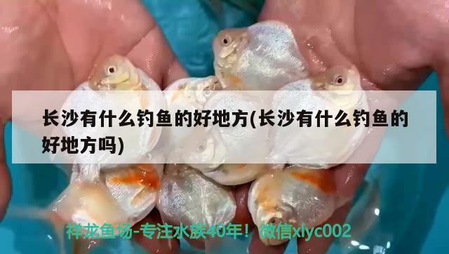 長(zhǎng)沙有什么釣魚(yú)的好地方(長(zhǎng)沙有什么釣魚(yú)的好地方嗎) 垂釣樂(lè)園