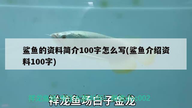 鯊魚(yú)的資料簡(jiǎn)介100字怎么寫(鯊魚(yú)介紹資料100字)