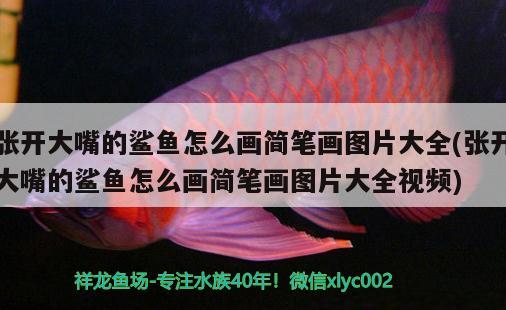 張開大嘴的鯊魚怎么畫簡筆畫圖片大全(張開大嘴的鯊魚怎么畫簡筆畫圖片大全視頻) 九鼎魚缸