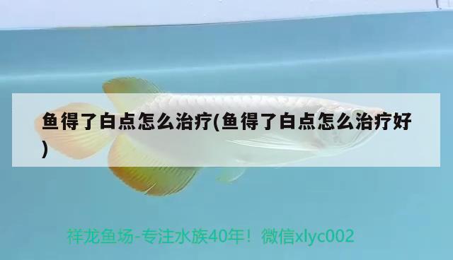 魚得了白點怎么治療(魚得了白點怎么治療好) 龍魚芯片掃碼器