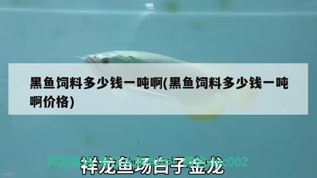 黑魚飼料多少錢一噸啊(黑魚飼料多少錢一噸啊價格) 黑桃A魚苗