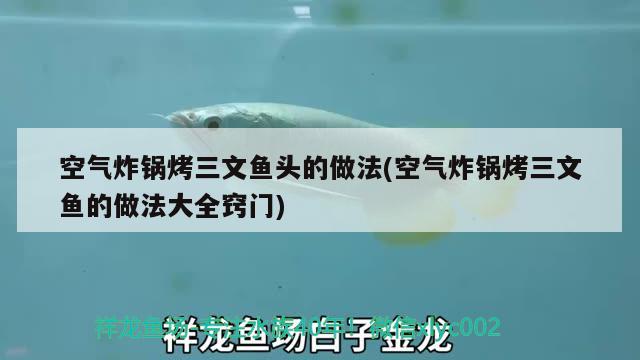 空氣炸鍋烤三文魚頭的做法(空氣炸鍋烤三文魚的做法大全竅門)