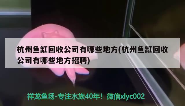 杭州魚(yú)缸回收公司有哪些地方(杭州魚(yú)缸回收公司有哪些地方招聘) 招財(cái)戰(zhàn)船魚(yú)