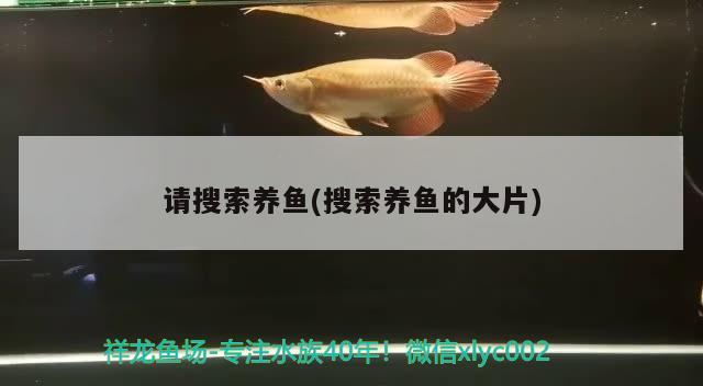 請搜索養(yǎng)魚(搜索養(yǎng)魚的大片)