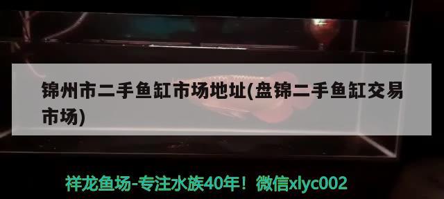 錦州市二手魚缸市場地址(盤錦二手魚缸交易市場) 肥料