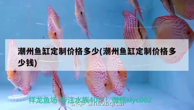 潮州魚缸定制價格多少(潮州魚缸定制價格多少錢) 純血皇冠黑白魟魚