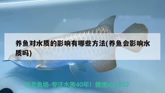 養(yǎng)魚對水質的影響有哪些方法(養(yǎng)魚會影響水質嗎)