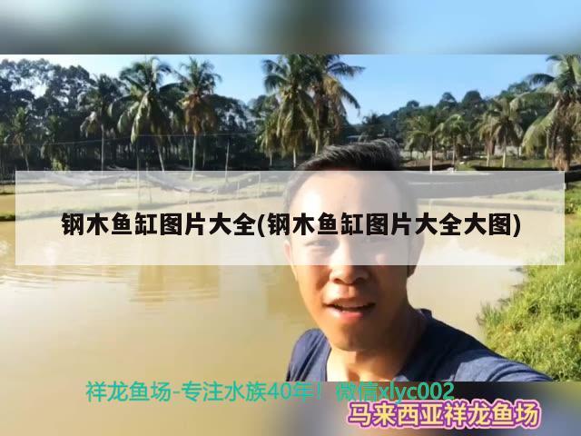 鋼木魚缸圖片大全(鋼木魚缸圖片大全大圖) 魚缸定做