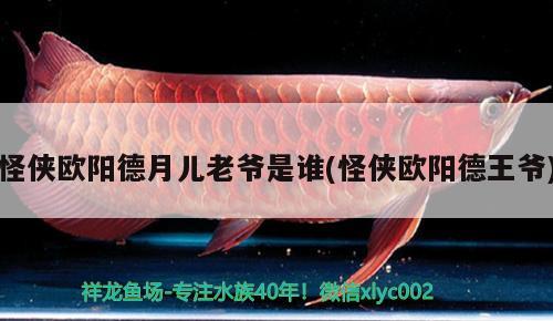 怪俠歐陽德月兒老爺是誰(怪俠歐陽德王爺) 魚缸等水族設(shè)備