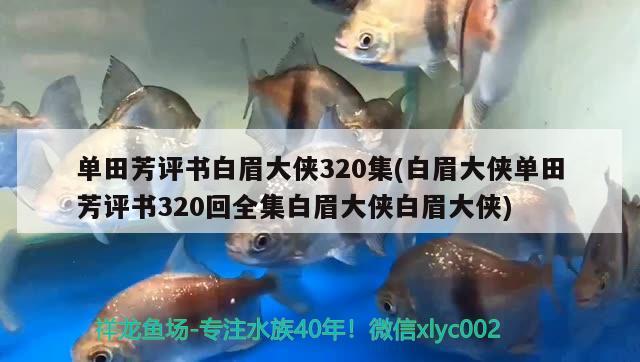 單田芳評書白眉大俠320集(白眉大俠單田芳評書320回全集白眉大俠白眉大俠)