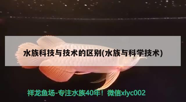 水族科技與技術(shù)的區(qū)別(水族與科學(xué)技術(shù)) 印尼小紅龍