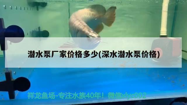 潛水泵廠家價(jià)格多少(深水潛水泵價(jià)格) 名貴錦鯉魚