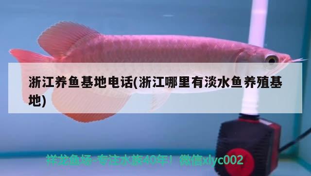 浙江養(yǎng)魚電話(浙江哪里有淡水魚養(yǎng)殖) 殺菌消毒設(shè)備