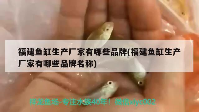 福建魚缸生產(chǎn)廠家有哪些品牌(福建魚缸生產(chǎn)廠家有哪些品牌名稱)