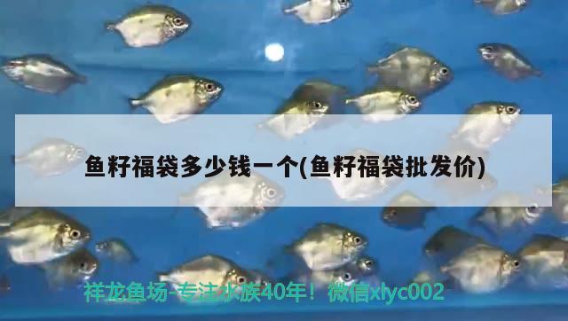 魚籽福袋多少錢一個(魚籽福袋批發(fā)價) 一眉道人魚