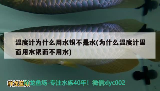 溫度計為什么用水銀不是水(為什么溫度計里面用水銀而不用水) 斑馬狗頭魚