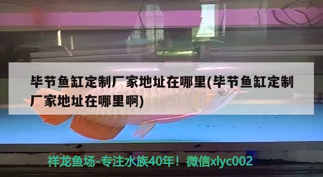 畢節(jié)魚(yú)缸定制廠家地址在哪里(畢節(jié)魚(yú)缸定制廠家地址在哪里啊) 熊貓異形魚(yú)L46