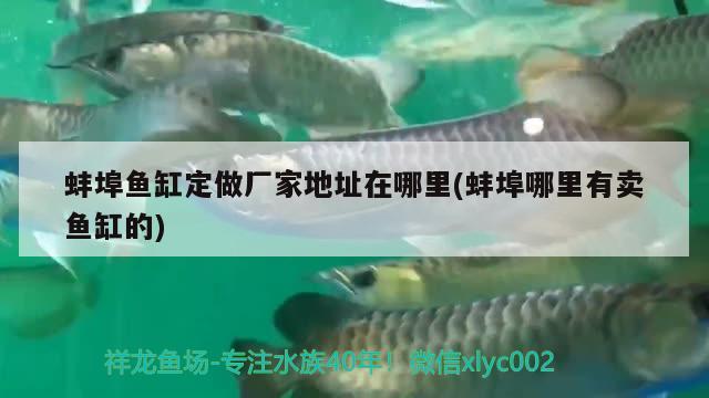 蚌埠魚缸定做廠家地址在哪里(蚌埠哪里有賣魚缸的)