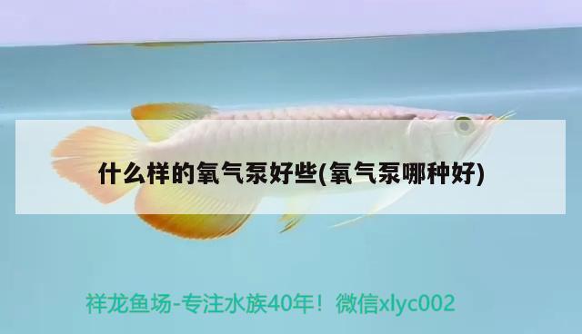 什么樣的氧氣泵好些(氧氣泵哪種好) 水族燈（魚缸燈）