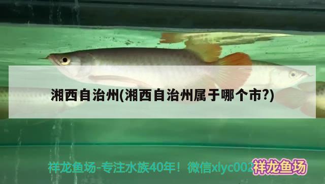 湘西自治州(湘西自治州屬于哪個(gè)市？) 全國水族館企業(yè)名錄