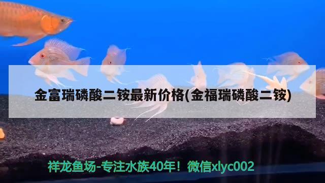 金富瑞磷酸二銨最新價格(金福瑞磷酸二銨) 魚缸/水族箱