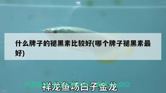 什么牌子的褪黑素比較好(哪個牌子褪黑素最好) 羽毛刀魚苗