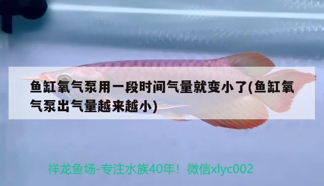 魚缸氧氣泵用一段時間氣量就變小了(魚缸氧氣泵出氣量越來越小) 白子銀版魚