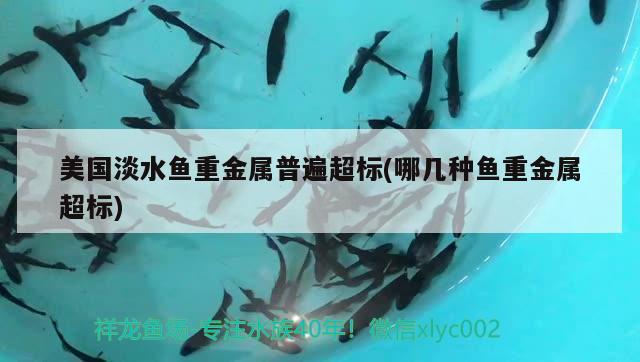 美國淡水魚重金屬普遍超標(biāo)(哪幾種魚重金屬超標(biāo)) 魚缸水質(zhì)穩(wěn)定劑