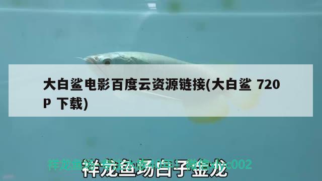 大白鯊電影百度云資源鏈接(大白鯊 720P 下載) 星點金龍魚