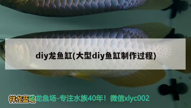 diy龍魚缸(大型diy魚缸制作過程) 水族世界