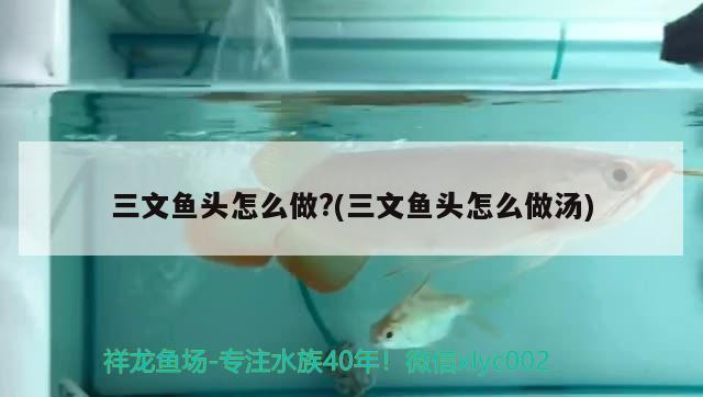 三文魚頭怎么做？(三文魚頭怎么做湯) 觀賞蝦蟹等飼料