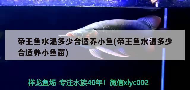 帝王魚水溫多少合適養(yǎng)小魚(帝王魚水溫多少合適養(yǎng)小魚苗)