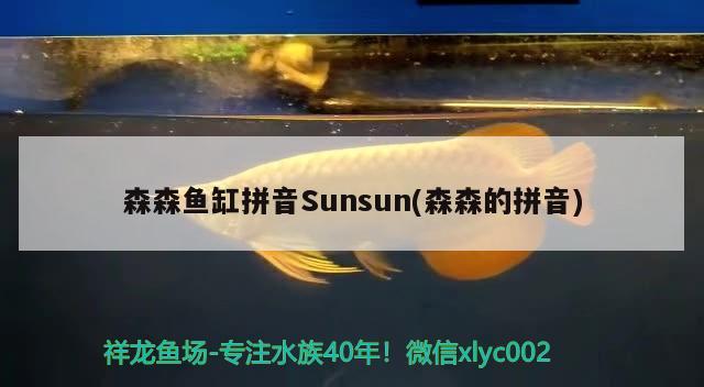 森森魚缸拼音Sunsun(森森的拼音) 巴西亞魚