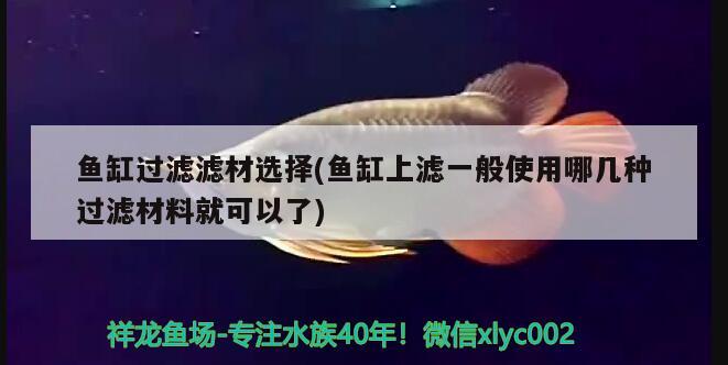 魚缸過濾濾材選擇(魚缸上濾一般使用哪幾種過濾材料就可以了)