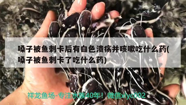 嗓子被魚刺卡后有白色潰瘍并咳嗽吃什么藥(嗓子被魚刺卡了吃什么藥) 黃金眼鏡蛇雷龍魚